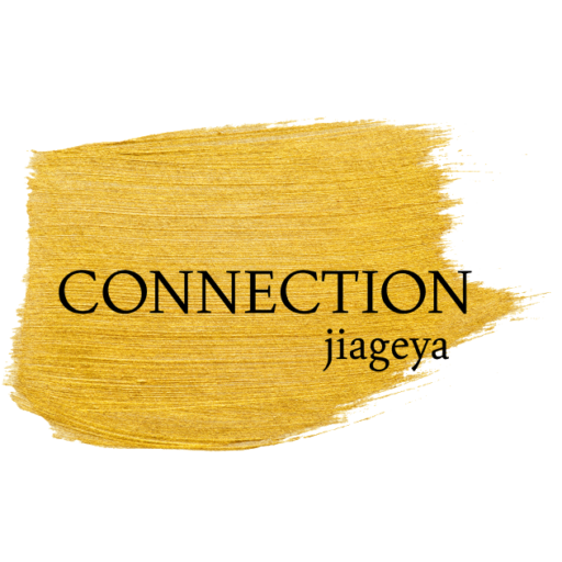 connection-jiageya logo